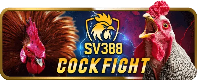 Phần thưởng và Jackpot